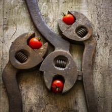 Three old, rusty pliers are creatively arranged on a weathered wooden surface, each featuring a
