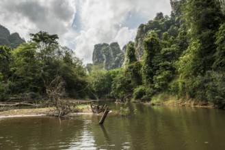 Jungle and rainforest with steep mountains, Khao Sok National Park, Phang Nga, Surat Thani,