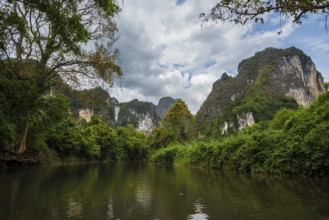 Jungle and rainforest with steep mountains, Khao Sok National Park, Phang Nga, Surat Thani,