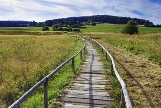 A wooden footbridge leads through the Schopflocher Moor, a raised bog in the Swabian Alb, under a