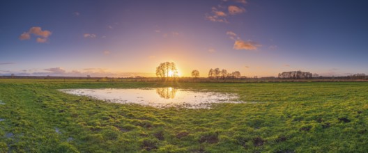 View of a puddle on a meadow at sunset, landscape photo, nature photo, flora, fauna, landscape