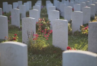 Gravestones, war graves, soldiers' graves, flowers, roses, British and German military cemetery,