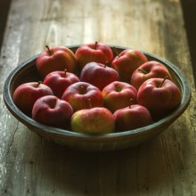 A rustic wooden bowl filled with freshly harvested red apples sits atop a weathered wooden table.