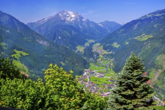 View of the village with Finkenberg and the Grinbergspitzen 2884m, Mayrhofen, Zillertal, Zillertal