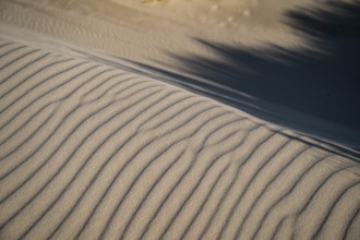 Wave-like wind-formed sand structures in close-up, Hvide Sande, North Sea, Denmark