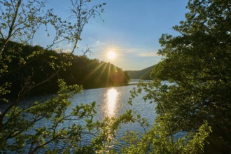 Sunshine through leaves over a calm lake, summer, Rursee, Obersee, Simmerath, Eifel National Park,