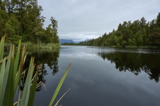 A still lake with shore and trees reflecting in the water under a cloudy sky, summer, Lake