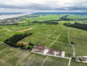 Chateau Pontet-Canet Vineyard and grape fields around Pauillac and Gironde Estuary from a drone,