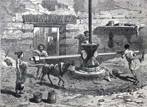 Milling, mill, mill of the ancient Romans driven by donkey and man, grain mill, millstone,