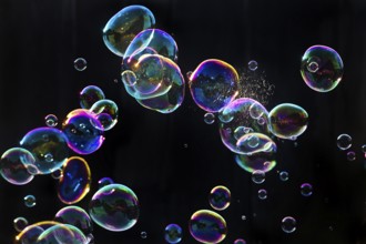Iridescent soap bubbles with a just burst bubble in front of a black background, Recklinghausen,