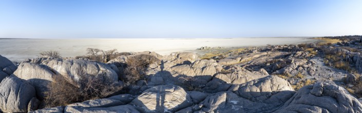 View over the salt pan of Kubu Island with round rocks, African baobab (Adansonia digitata), Kubu