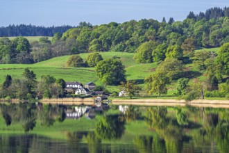 Farms over Esthwaite Water, Lake District National Park, Cumbria, England, United Kingdom