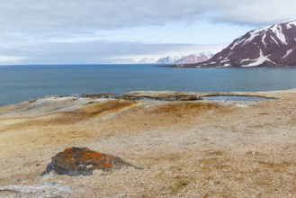 Hot spring, discoloured rock, sinter, mountain range, sea, Jotunkjeldene, Spitsbergen, Svalbard