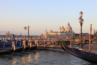 Gondolas in front of the Piazzetta behind the Basilca di Santa Maria della Salute, Vemedig, Veneto,