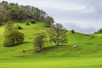 Farms, Ullswater Lake, Lake District National Park, Cumbria, England, United Kingdom