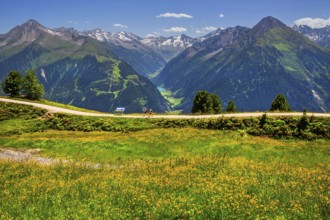 Hiking trail on the Penken with a view of the Stilluptal, Mayrhofen, Zillertal, Zillertal Alps,