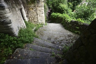 Stairs down a path lined with green plants. The path runs along a ravine and connects the Superior