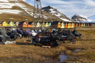 Sikdoos in front of coloured wooden houses, Longyearbyen, Spitsbergen, Svalbard