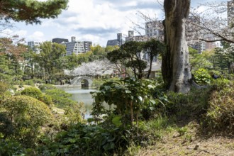 Shukkei-en with green plants, trees and Koko-kyo stone bridge over Takuei-chi pond in spring,