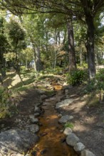 Shukkei-en with Hakuryu-sen stream, green plants and trees in spring, historical Japanese strolling