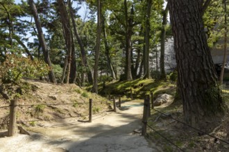 Path with trees in Shukkei-en, historical Japanese strolling garden, Japanese garden, green area,