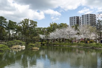 Shukkei-en with blossoming cherry trees, sakura, and Takuei-chi pond in spring, historic Japanese