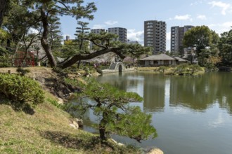 Shukkei-en with blossoming cherry trees, Sakura, Seifukan teahouse and Koko-kyo stone bridge over