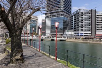 Tourist attraction, landmark, lanterns on the promenade and historic Enkobashi stone bridge over