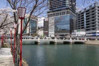 Tourist attraction, landmark, lanterns and blossoming cherry trees on the promenade, Sakura, modern