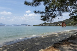 Beach with surf and torii in the water, sight, tourist attraction, UNESCO World Heritage Site,