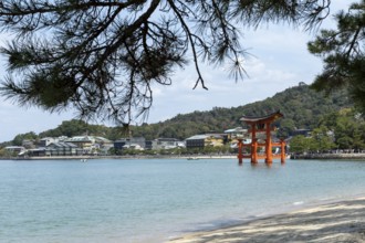 Beach with surf and torii in the water, sight, tourist attraction, UNESCO World Heritage Site,