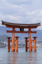 Torii in the water, sight, tourist attraction, UNESCO World Heritage Site, Itsukushima Shrine,