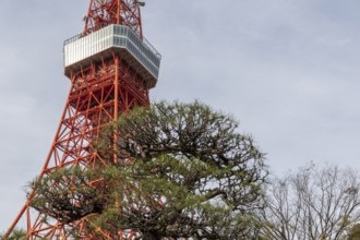 Sightseeing, tourist attraction, Tokyo Tower, Minato City, Tokyo, Japan