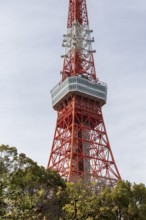 Sightseeing, tourist attraction, Tokyo Tower, Minato City, Tokyo, Japan
