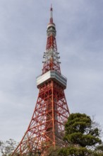 Sightseeing, tourist attraction, Tokyo Tower, Minato City, Tokyo, Japan