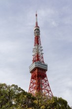Sightseeing, tourist attraction, Tokyo Tower, Minato City, Tokyo, Japan