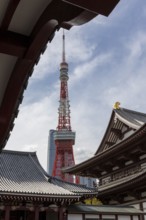 Landmark, tourist attraction, architecture, curved roofs, Zojoji Hall, Zojo-ji Temple, Busshist