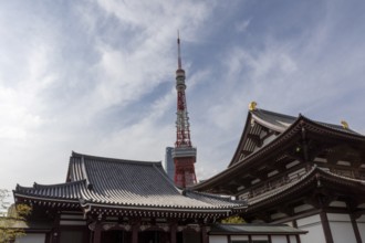 Landmark, tourist attraction, architecture, curved roofs, Zojoji Hall, Zojo-ji Temple, Busshist