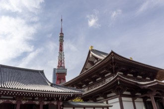 Landmark, tourist attraction, architecture, curved roofs, Zojoji Hall, Zojo-ji Temple, Busshist