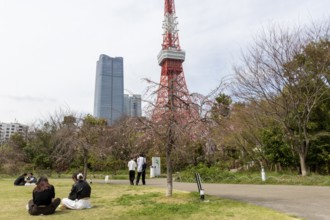 Landmark, tourist attraction, Tokyo Tower and young Japanese people next to a tree with first