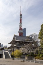 Sightseeing, tourist attraction, Zojoji Hall, Zojo-ji Temple, Busshist Temple and Tokyo Tower,
