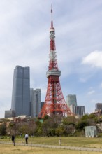 Landmark, tourist attraction, Tokyo Tower and walkers in Shiba Park, Shibakoen, public park in