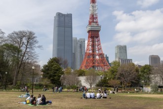 Sightseeing, tourist attraction, Tokyo Tower and young Japanese people in Shiba Park, Shibakoen,