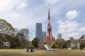 Sightseeing, tourist attraction, Tokyo Tower and young Japanese people in Shiba Park, Shibakoen,