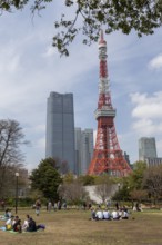 Sightseeing, tourist attraction, Tokyo Tower and young Japanese people in Shiba Park, Shibakoen,