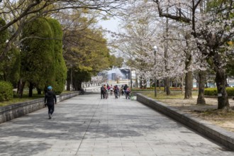 Walkers and blossoming cherry trees in the Peace Park, Sakura, sight, UNESCO World Heritage Site,