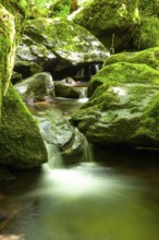 Small waterfall flowing over moss-covered rocks in a green forest, Stillensteinklamm Upper Austria