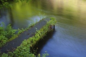 A footbridge juts into the calm water, surrounded by green plants and reflections,