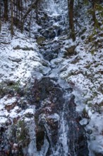 Frozen waterfall in the forest with snow and ice structures, Kamptal Waldviertel Austria