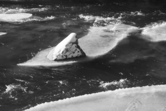 A rock in the river with a layer of snow and ice, Kamptal Waldviertel Austria